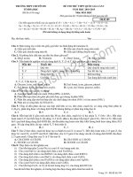 de thi thu thptqg 2019 hoa chuyen bac ninh lan 1 