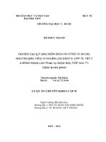 Nghiên cứu đáp ứng miễn dịch in vitro với kháng nguyên đặc hiệu vi khuẩn lao ESAT 6, CFP 10, TB7 7 ở bệnh nhân lao phổi và người nhà tiếp xúc tại tỉnh 