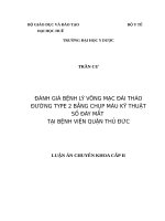 Bệnh lý Võng mạc Đái tháo đường Tuyp 2 bằng chụp ảnh kỹ thuật số đáy mắt