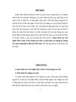 Quan điểm của chủ nghĩa MácLênin về lực lượng sản xuất và quá trình xây dựng lực lượng sản xuất trong thời kì đổi mới Việt Nam