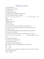 bo de thi hoc ki 1 mon vat li lop 7 