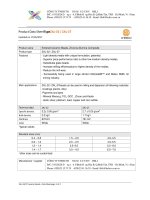 3 ZAL 32 and 27 ceramic beads TDS  helico   copy