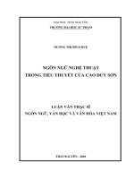 Ngôn ngữ nghệ thuật trong tiểu thuyết của Cao Duy Sơn (Luận văn thạc sĩ)