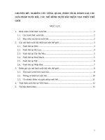 Nghiên cứu tổng quan, phân tích đánh giá giải pháp nuôi bãi  Mô hình Mike ST