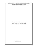 Báo cáo tự đánh giá tieu học theo thông tư 17 tháng 12 năm 2018