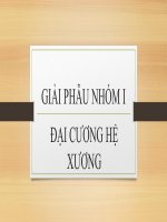 GIẢI PHẪU HỆ XƯƠNG KHỚP