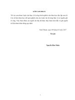 Nghiên cứu giải pháp nâng cao chất lượng thiết kế các đồ án quy hoạch chi tiết xây dựng của tỉnh ninh thuận, áp dụng cho dự án khu đô thị mới đông bắc   thành phố phan rang tháp chàm 