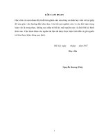 Giải pháp hoàn thiện công tác quản lý chất lượng công trình cứng hóa mặt đê trong giai đoạn thi công tại ban quản lý dự án sở nông nghiệp và PTNT bắc ninh 