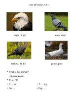 CHỦ đề ĐỘNG vật , chủ đề ĐẾM SỐ và chủ đề THỜI TIẾT Môn Tiếng Anh