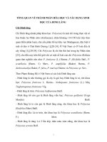 TỔNG QUAN về THÀNH PHẦN hóa học và tác DỤNG SINH học của ĐINH LĂNG