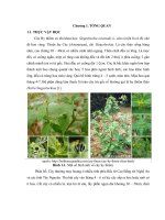 tổng quan về thành phần hóa học và tác dụng sinh học cây hy thiêm