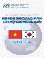 Cẩm nang HỘI NHẬP KINH TẾ QUỐC TẾ HIỆP ĐỊNH THƯƠNG MẠI TỰDO VIỆT NAM - HÀN QU NAM - HÀN QUỐC (VKFTA)