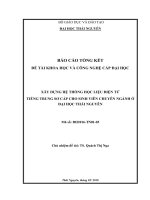 XÂY DỰNG HỆ THỐNG HỌC LIỆU ĐIỆN TỬ TIẾNG TRUNG SƠ CẤP CHO SINH VIÊN CHUYÊN NGÀNH Ở ĐẠI HỌC THÁI NGUYÊN
