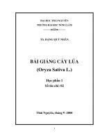 ĐHTN bài giảng cây lúa (thái nguyên 2008)   ts  đặng quý nhân, 116 trang 
