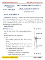 ĐỀ THI THPT QUỐC GIA môn SINH mới 2019 (62) 