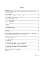 GIẢI PHÁP NÂNG CAO CHẤT LƯỢNG NGUỒN NHÂN LỰC TẠI VIỆT NAM