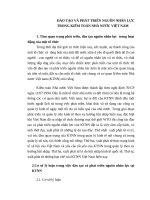 ĐÀO tạo và PHÁT TRIỂN NGUỒN NHÂN lực TRONG KIỂM TOÁN NHÀ nước VIỆT NAM 