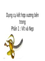 Dụng cụ kết hợp xương bên trong (phần 1 nẹp và vít xương)