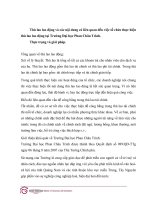 Thù lao lao động và các nội dung có liên quan đến việc tổ chức thực hiện thù lao lao động tại trường đại học phan châu trinh 