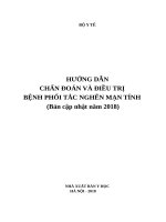 HƯỚNG DẪN CHẨN ĐOÁN VÀ ĐIỀU TRỊ BỆNH PHỔI TẮC NGHẼN MẠN TÍNH (Bản cập nhật năm 2018)