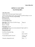 Giáo án Tiếng Việt 2 tuần 8 bài: Chính tả  Tập chép: Người mẹ hiền. Phân biệt aoau, rdgi, uônuông