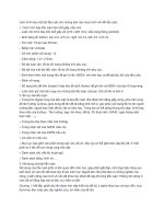 cách trình bày một bài tiểu luận cho những bạn nào chưa rành về viết tiểu luận