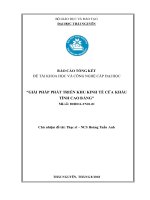 GIẢI PHÁP PHÁT TRIỂN KHU KINH TẾ CỬA KHẨU TỈNH CAO BẰNG