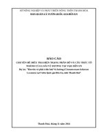 Báo cáo điều tra hiện trạng loài Vù hương ở VQG Bến En