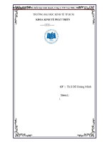 Phân tích kế hoạch và chiến lược kinh doanh công ty TH true milk 