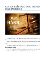 Câu hỏi nhận định đúng sai môn luật hành chính (có đáp án)
