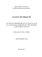 LUẬN VĂN THẠC SĨ  CÁC NHÂN TỐ ẢNH HƯỞNG ĐẾN CƠ CẤU VỐN CỦA CÁC CÔNG TY NGÀNH CÔNG NGHIỆP NIÊM YẾT TRÊN THỊ  TRƯỜNG CHỨNG KHOÁN VIỆT NAM