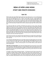 BỆNH LỞ MỒM LONG MÓNG FMD