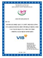 đánh giá hiệu quả và mức độ hài lòng của khách hàng đối với hoạt động cho vay ngắn hạn của vib cần thơ – phòng giao dịch ninh kiều 