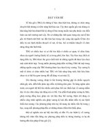 Nghiên cứu thực nghiệm áp dụng quy trình nuôi cấy và bảo quản tạo cốt bào biệt hóa từ tế bào gốc trung mô tủy xương 