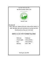 Thực hiện quy trình chăm sóc nuôi dưỡng phòng và điều trị bệnh cho lợn nái sinh sản tại trại Nguyễn Thanh Lịch, Ba Trại  Ba Vì  Hà Nội (Khóa luận tốt nghiệp)