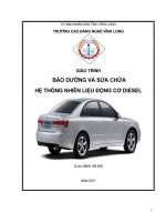 GIAO TRINH  DIESEL 2013