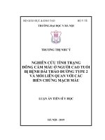 Nghiên cứu tình trạng đông cầm máu ở người cao tuổi bị bệnh đái tháo đường type 2 và mối liên quan với các biến chứng mạch máu (FULL TEXT)