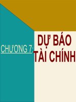 DỰ BÁO TÀI CHÍNH