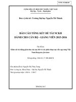 Khảo sát tác động giảm đau của nọc thô và các phân đoạn nọc rắn cạp nong Việt Nam Bungarus fasciatus
