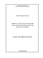 Nghiên cứu tương tác Raman kết hợp trong môi trường khí được chứa bởi sợi quang tử lõi rỗng (Luận văn thạc sĩ)