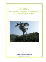 Các loài thực vật quý hiếm ở VQG Bến En  phần III