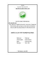 Thực hiện quy trình nuôi dưỡng, chăm sóc gà broiler với phương pháp nuôi chuồng kín tại trại gà nhà ông Nguyễn Hồng Long thuộc công ty Emivest (Khóa luận tốt nghiệp)