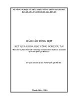Bảo tồn và phát triển loài vù hương (Cinamomum balansae) tại VQG Bến En