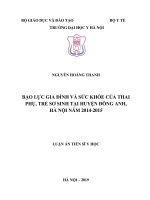 Bạo lực gia đình và sức khỏe của thai phụ, trẻ sơ sinh tại huyện Đông Anh, Hà Nội năm 2014 - 2015 (FULL TEXT)