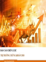 BÁO CÁO CHIẾN LƯỢC THỊ TRƯỜNG CHỨNG KHOÁN 2018