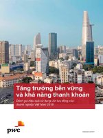 Tăng trưởng bền vững và khả năng thanh khoản Đánh giá hiệu quả sử dụng vốn lưu động của doanh nghiệp Việt Nam 2018