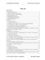 giải pháp hoàn thiện kế toán bán nhóm hàng thức ăn chăn nuôi tại công ty cổ phần chăn nuôi c p  việt nam – chi nhánh hải dương