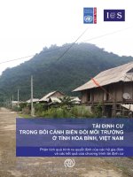 TÁI ĐỊNH CƯ TRONG BỐI CẢNH BIẾN ĐỔI MÔI TRƯỜNG Ở TỈNH HÒA BÌNH, VIỆT NAM - Phân tích quá trình ra quyết định của các hộ gia đình và các kết quả của chương trình tái định cư