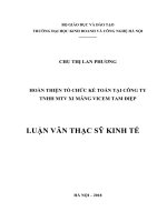 Luận văn thạc sỹ - Hoàn thiện tổ chức kế toán tại Công ty TNHH MTV Xi măng Vicem Tam Điệp