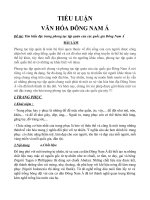 TIỂU LUẬN VĂN HÓA ĐÔNG NAM Á